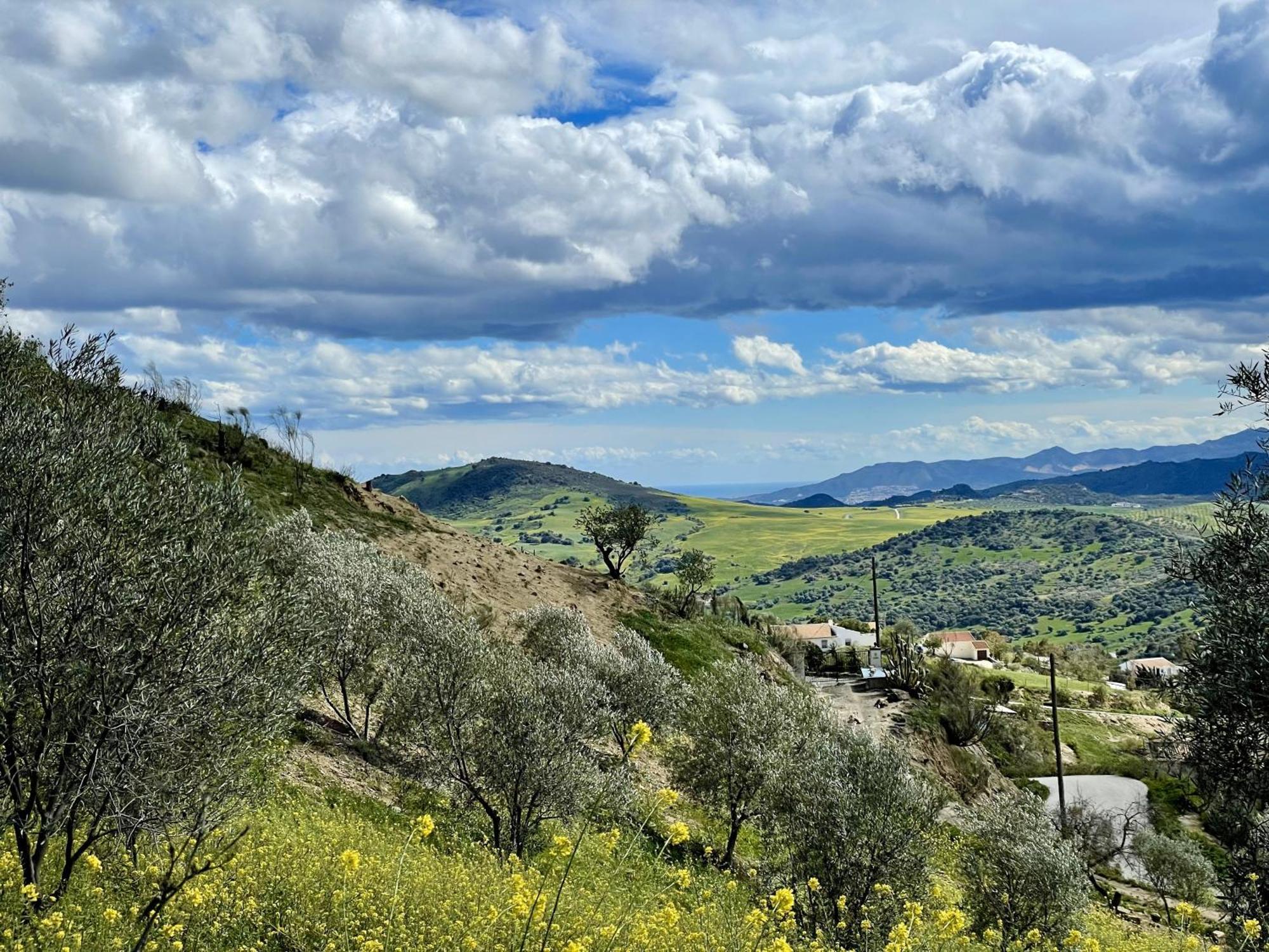 Finca El Sueno Andaluz Villanueva de la Concepción Exteriér fotografie