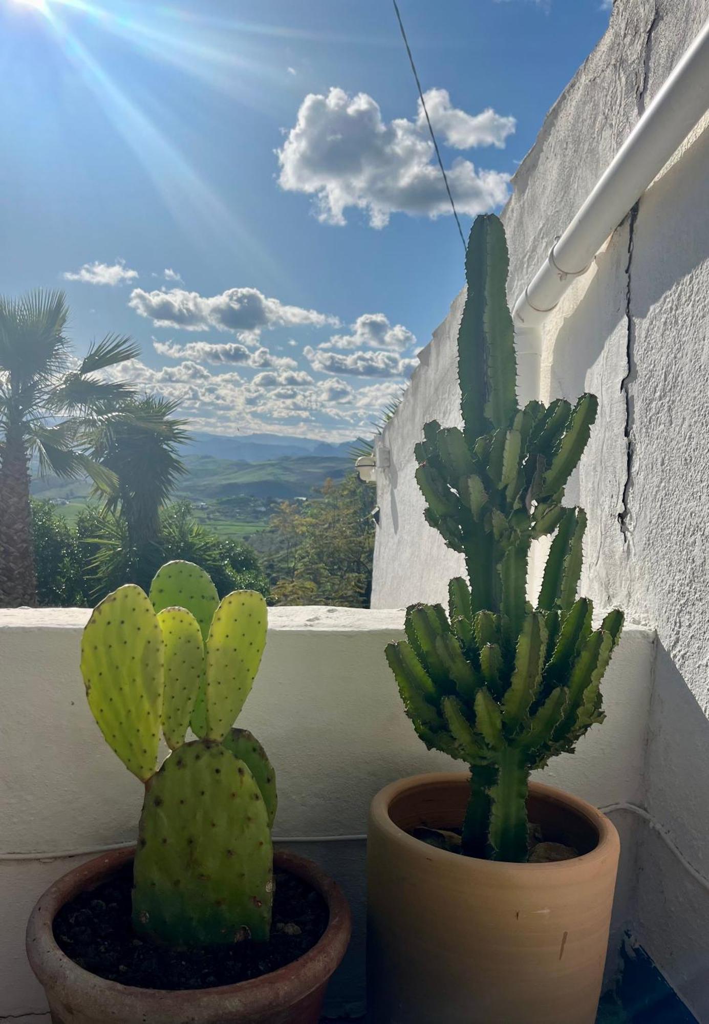 Finca El Sueno Andaluz Villanueva de la Concepción Exteriér fotografie